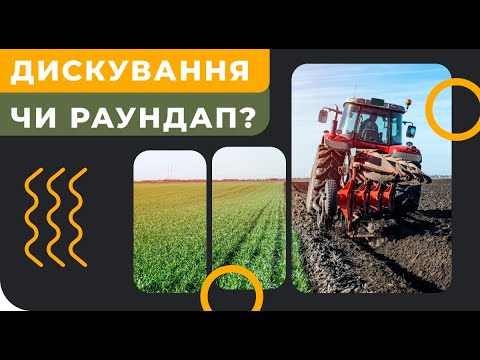 Видео: Дискование или Раундап?