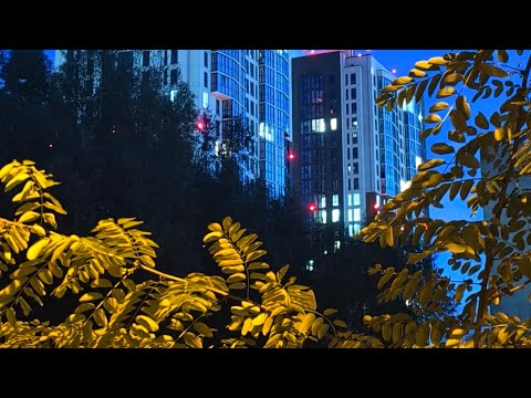 Видео: Цены на бензин в Калининграде октябрь 2025. Едем в гости к свекрови. Показала где она живёт