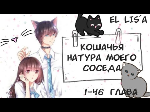 Видео: Озвучка манги | Кошачья натура моего соседа | 1 - 46 глава