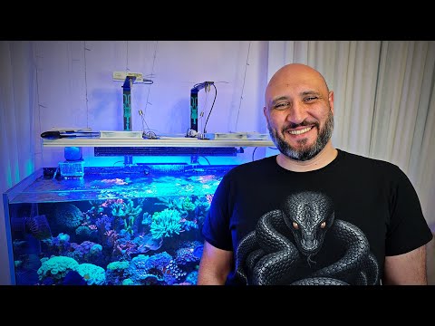 Видео: Риф Гарегина