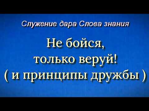 Видео: Не бойся, только веруй! ( и принципы дружбы )