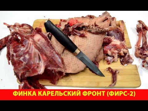 Видео: Финка Карельский фронт (Фирс-2). Тест по утке.