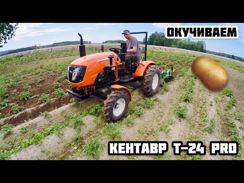 Видео: КЕНТАВР Т-24 PRO окучиваем картофель