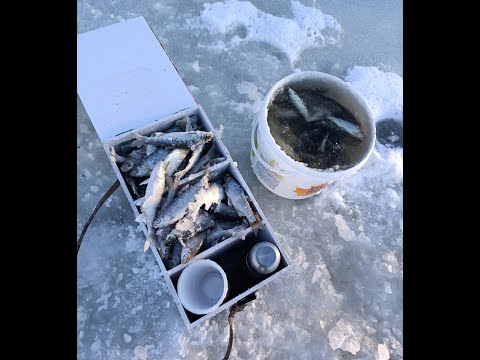 Видео: Первый лед.Лодочная.