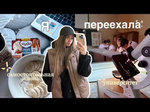 Видео: я переехала. учёба в другом городе,новая глава жизни,страхи,покупки,первые дни в университете