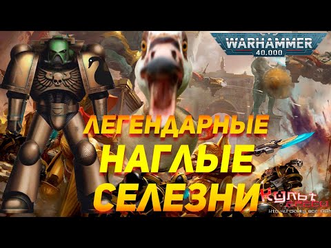 Видео: ОРДЕН НАГЛЫХ СЕЛЕЗНЕЙ