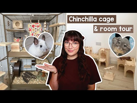 Видео: Экскурсия по клетке и комнате для шиншилл | 2024