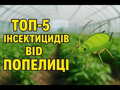 Видео: ТОП-5 інсектицидів проти попелиці — особистий досвід агроконсультанта