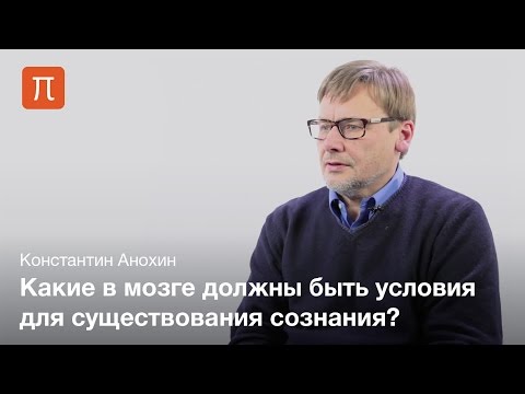 Видео: Проблема сознания и мозга — Константин Анохин