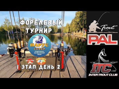 Видео: Форелевый турнир PAL TROUT