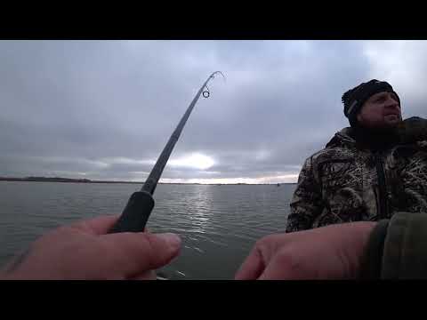 Видео: Рыбалка на Дону!  Рыбалка с приключениями!