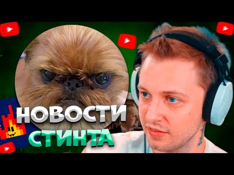 Видео: СТИНТ СМОТРИТ НОВОСТИ В ПЕКАРНЕ \ БАТЛФИЛД 6 \ ДЕШЕВЫЕ МОНИТОРЫ \ ВИДЕОКАРТЫ