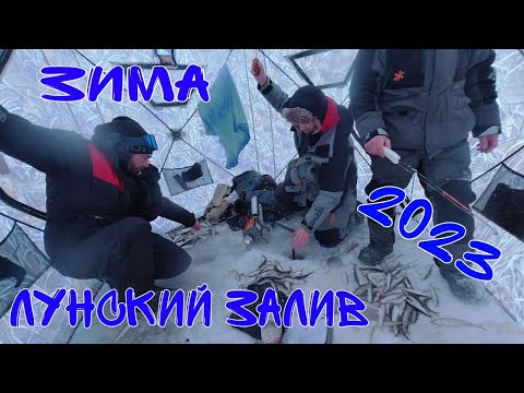 Видео: Лунский залив зима 2023г