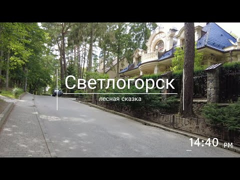 Видео: Светлогорск: лесная сказка