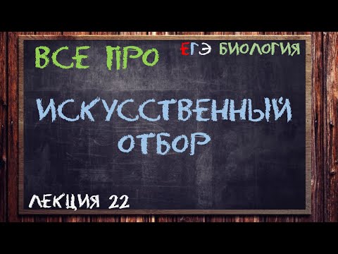 Видео: Л.22 | ИСКУССТВЕННЫЙ ОТБОР | СЕЛЕКЦИЯ | ОБЩАЯ БИОЛОГИЯ ЕГЭ
