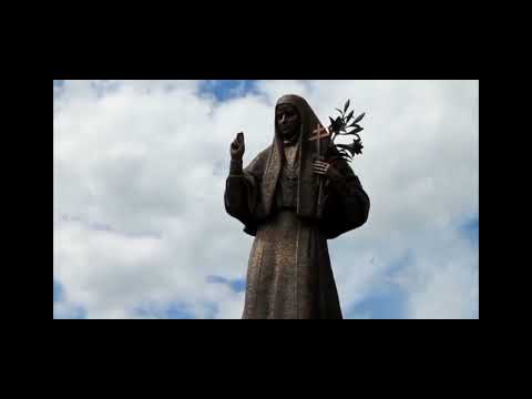 Видео: Белые лилии...