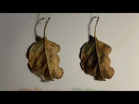 Видео: Классические техники живописи. Лессировки цветом. #урокиживописи  #лессировка #маслянаяживопись