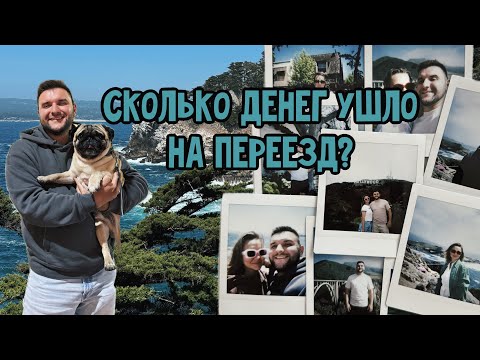 Видео: СКОЛЬКО ДЕНЕГ ПОТРАТИЛИ. ОТВЕТЫ НА ВОПРОСЫ. ЗАБРАЛИ ПСА