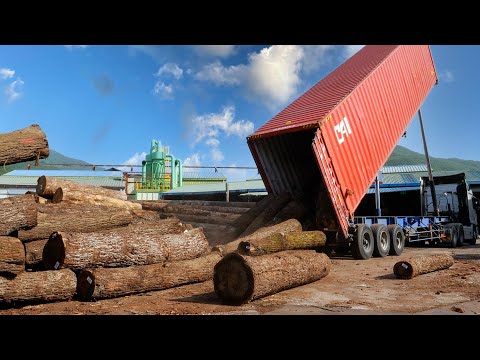 Видео: Удивительный процесс работы большой лесопилки. Завод по переработке сырой древесины в Южной Корее.