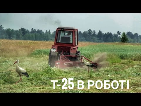 Видео: Т-25 + польська роторна косарка  Agromech Z-169!