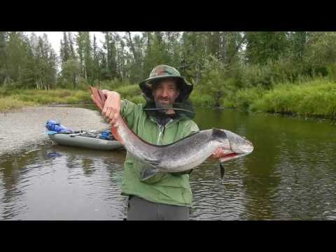 Видео: По притокам Енисея. Или как Мы на Имбак ходили. Часть 3