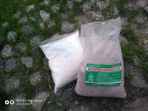 Видео: Чем удобрять газон?!