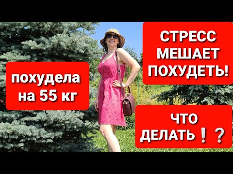 Видео: -55 кг! НЕ ХУДЕЮ из-за Нервов! Как Победить Стресс и Похудеть! мария мироневич похудение