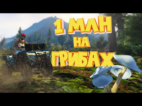 Видео: 1 МЛН на ГРИБАХ. Majestic RP | GTA 5