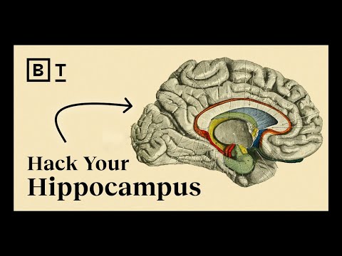 Видео: 9 тактик развития сильного ума | Лиза Дженова