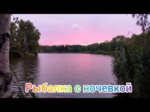 Видео: Сезон ночных рыбалок продолжается