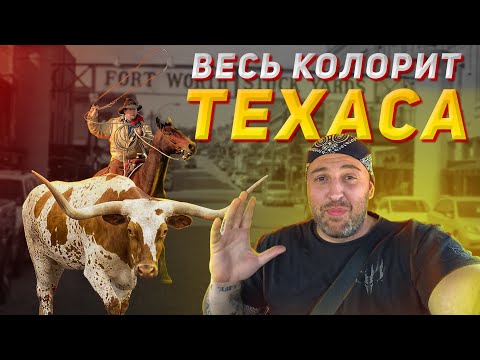 Видео: ВЕСЬ КОЛОРИТ ТЕХАСА / МОЕ ПУТЕШЕСТВИЕ 2021