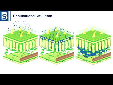 Видео: Гербициды. Урок 5