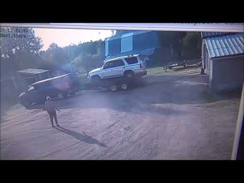 Видео: Канадские отшельники. Часть 936. Короткие вылазки за грибами.