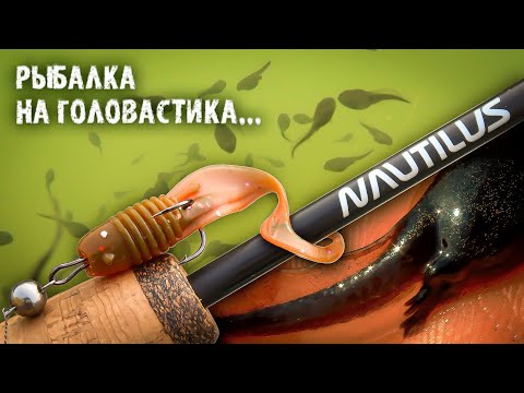 Видео: Рыбалка на ГОЛОВАСТИКА / ОКУНЬ и ЩУКА клюют на КАЖДОМ ЗАБРОСЕ.
