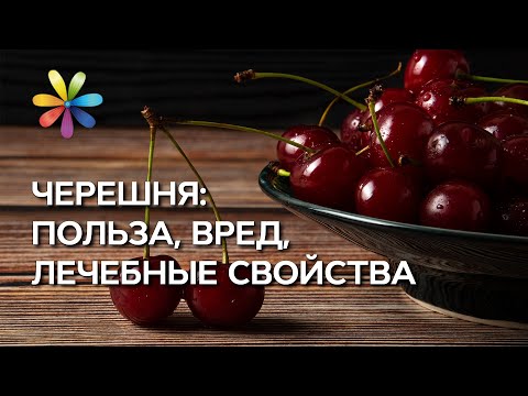 Видео: Черешня: польза и вред – Все буде добре