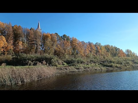 Видео: Даугава. Район Ницгале. 19.10.2024