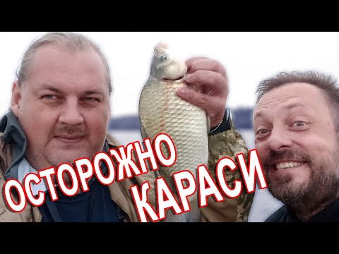 Видео: БЛУДНЫЙ КОТ - Водохранилище Дрозды. Ловля отличного карася!