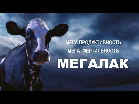 Видео: Правильный выбор "защищенного" жира для КРС