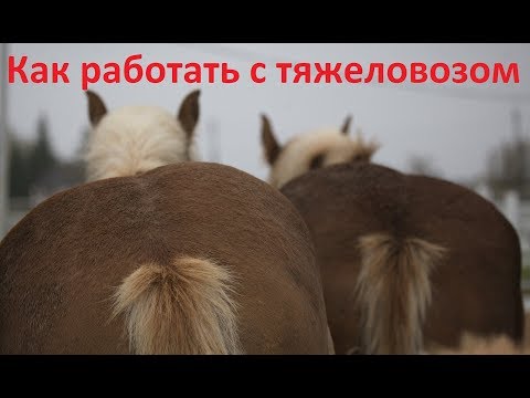 Видео: Как работать с тяжеловозами.