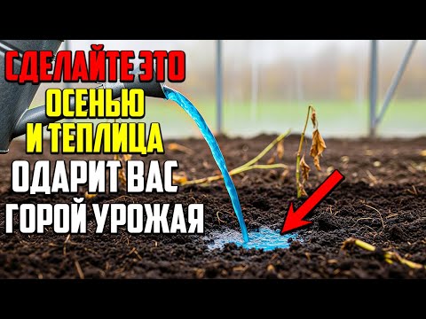 Видео: Чтобы Урожай Был Огромным, Сделайте Это В Теплице Прямо Сейчас!