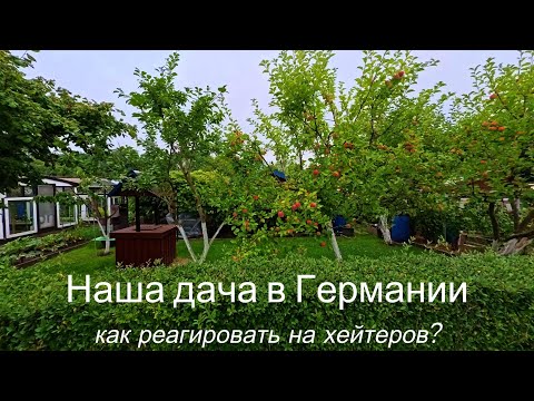 Видео: Наша дача в Германии 🌿 Что растёт и как реагировать на хейтеров? 😤