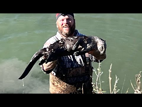 Видео: В серии ловушек TRAPPER J ep.7 нам попалась выдра!