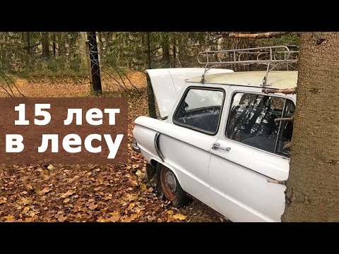 Видео: Купил ЗАЗ-968 на ручном управлении.Запорожец из леса.