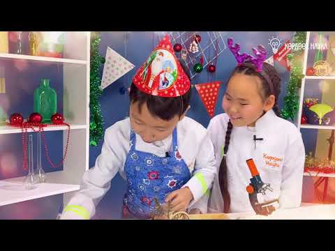 Видео: Көрдөөх наука. Тымныы о5ус