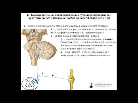 Видео: Путь Флексига. Запись  2023. 04. 25