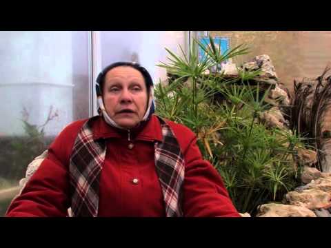 Видео: Воспоминание Духовных чад о Схиархимандрите Ионе часть 4