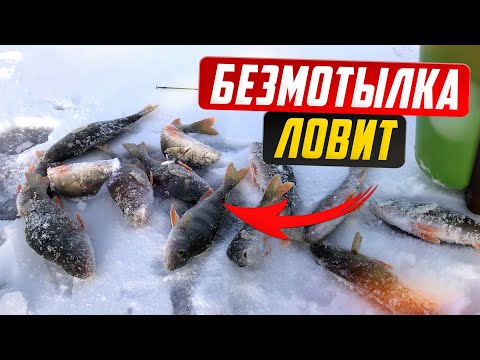 Видео: Эта БЕЗМОТЫЛКА ловит всегда/ Безмотылка на окуня