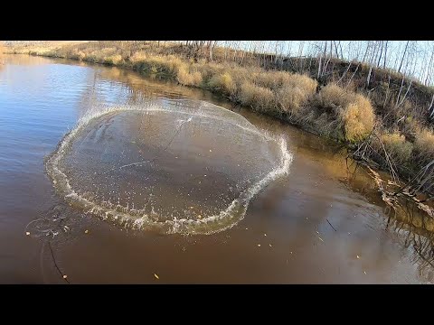 Видео: НАШЁЛ КРУПНЫХ СУДАКОВ В КОРЯГАХ И ПОЙМАЛ ИХ НА КАСТИНГОВУЮ СЕТЬ! АМЕРИКАНКА НЕ ОСТАВИЛА БЕЗ УЛОВА...