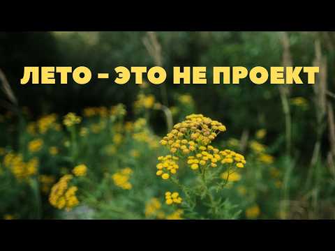 Видео: Чем заняться этим летом, чтобы не упустить его