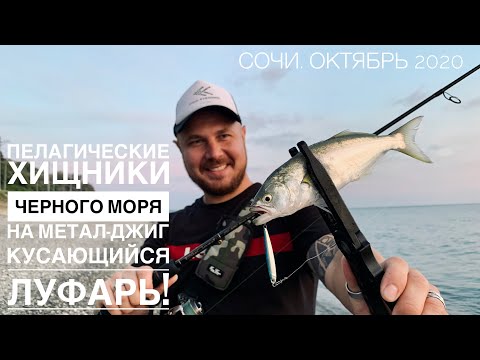 Видео: Пелагические хищники Черного моря на метал-джиг: луфарь, ставрида, сарган. Сочи.